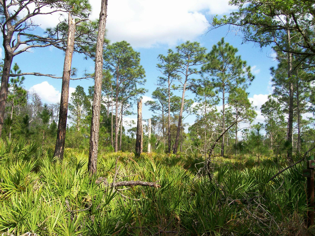 Brooker Creek Preserve-塔彭斯普林斯必去景点