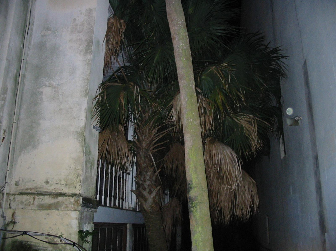 The Old Sorrel Weed House Museum & Tours-萨凡纳必去景点