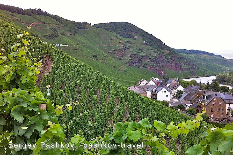 Weinhaus Moselschaenke-客卧