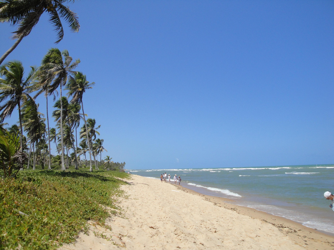 Forte Beach-普拉亚多海滩必去景点