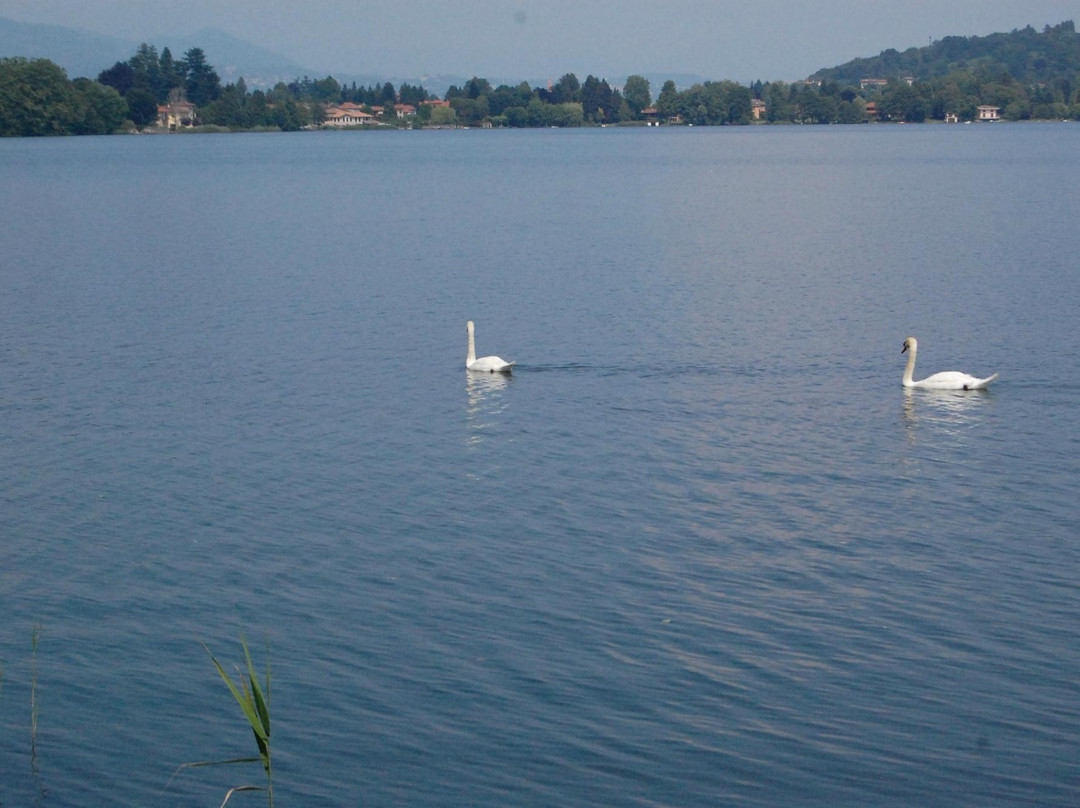 Lago di Monate景点图片