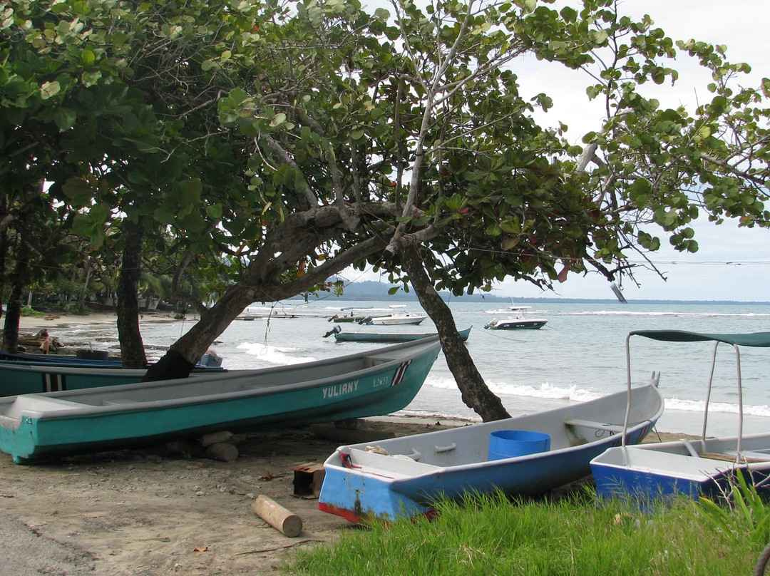 Playa Puerto Viejo景点图片