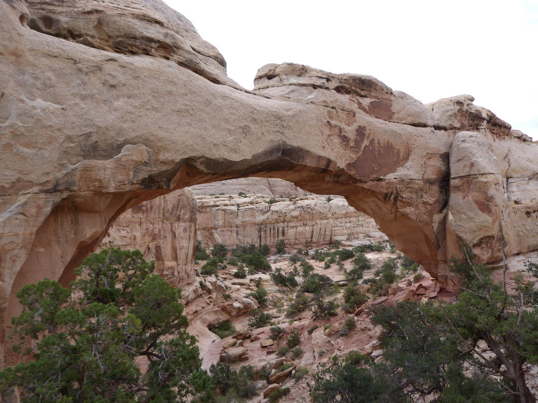 The Hickman Bridge Trail-圆顶礁国家公园必去景点