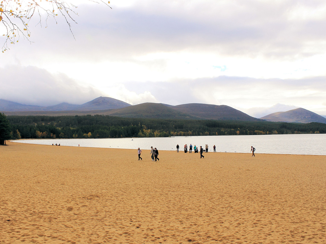 Cairngorms National Park景点图片