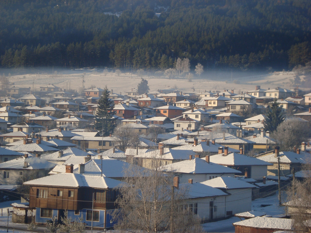 Family Hotel Panorama主图