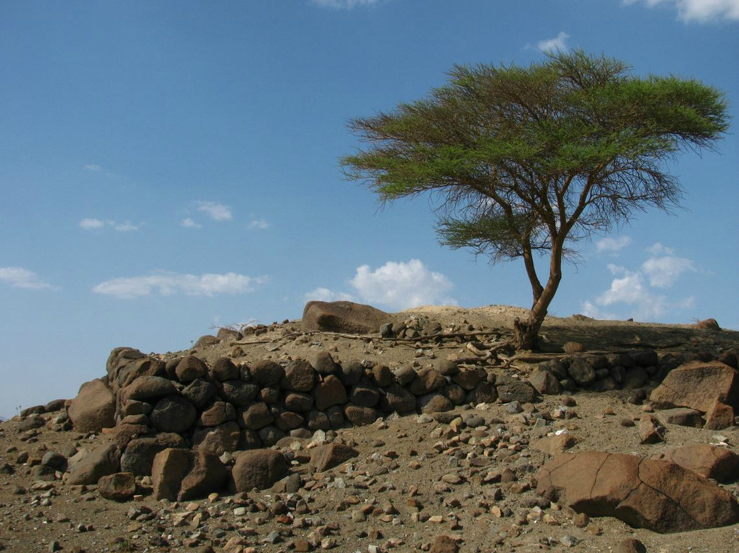 Ziggurat in Arja-Al Batinah Governorate必去景点