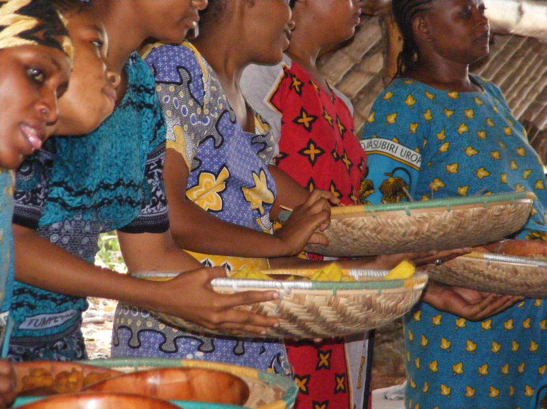 Kinazini Funzi Dhow Day Safari-Kwale必去景点