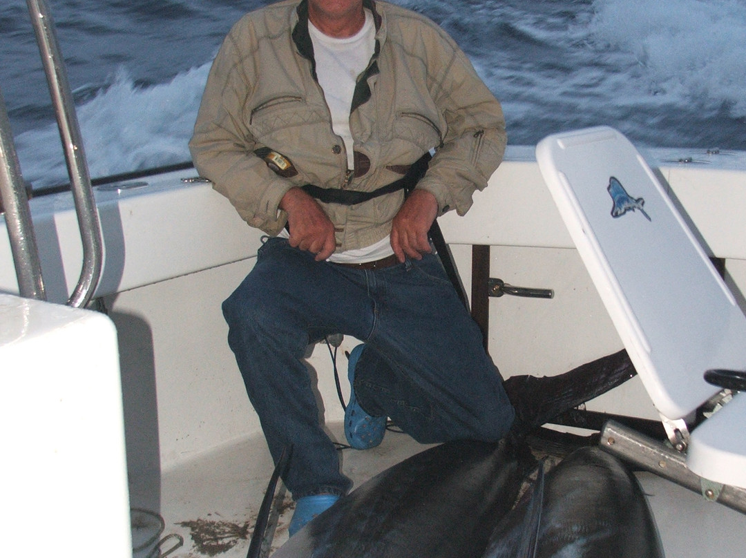 Strayline Fishing Charters-派希亚必去景点