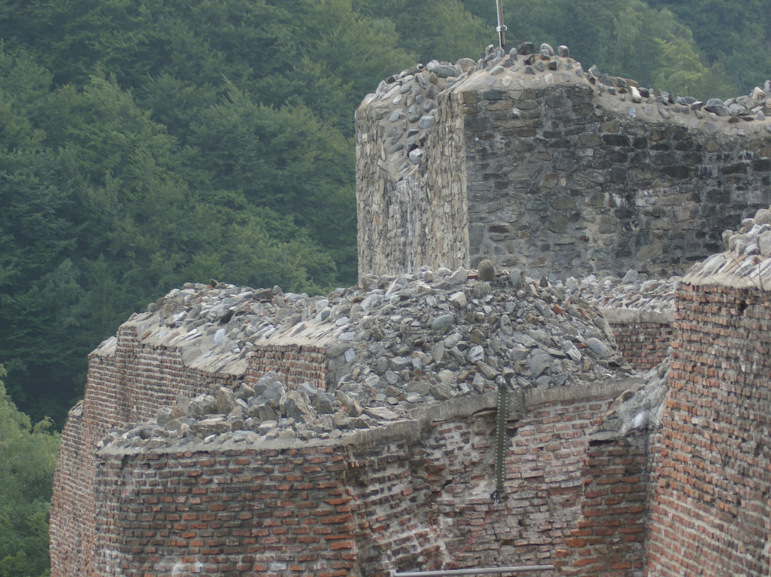 Poienari Castle景点图片