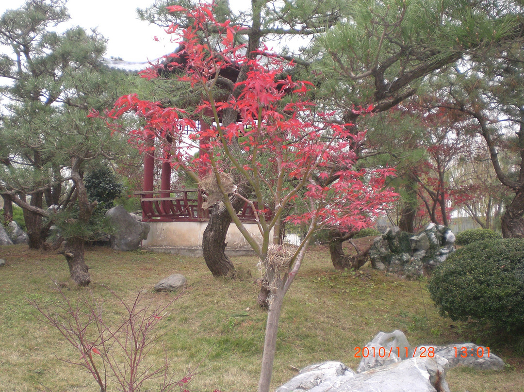 鲍家花园-黟县必去景点