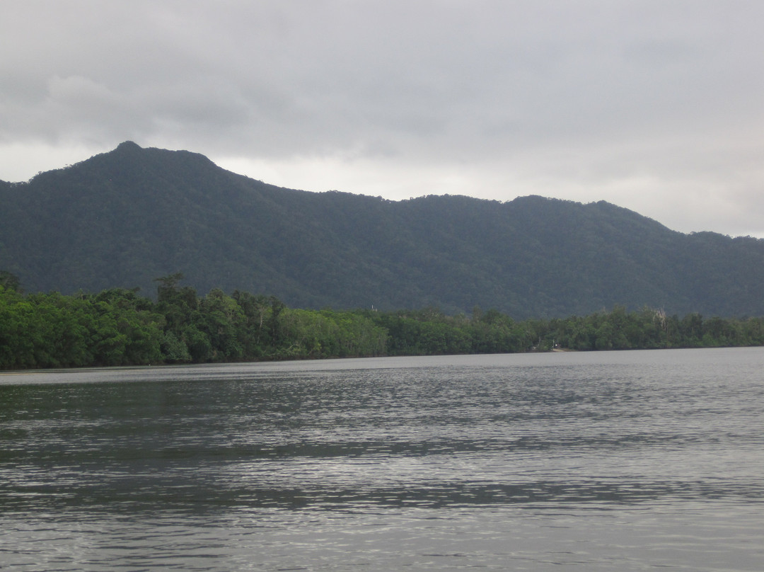 Bruce Belcher’s Daintree River Cruises-Daintree必去景点