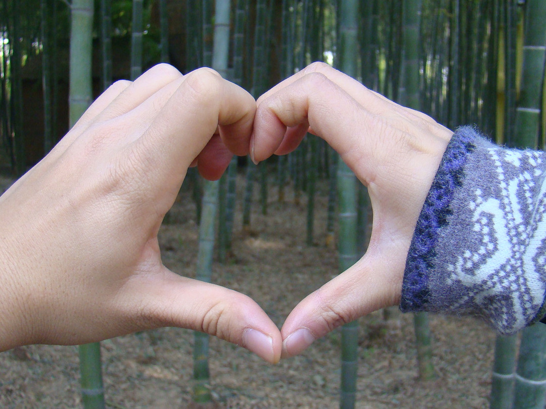 竹洞天-日照市必去景点