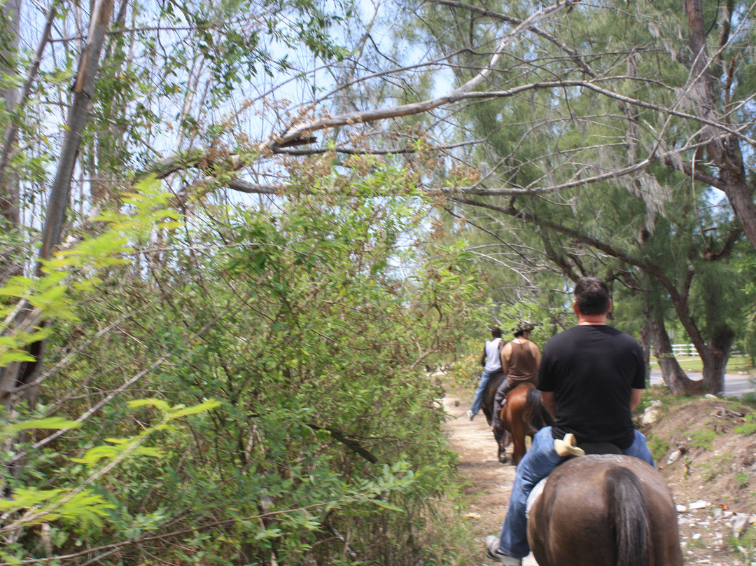 Happy Trails Stables, Windsor Equestrian Centre-新普罗维登斯岛必去景点