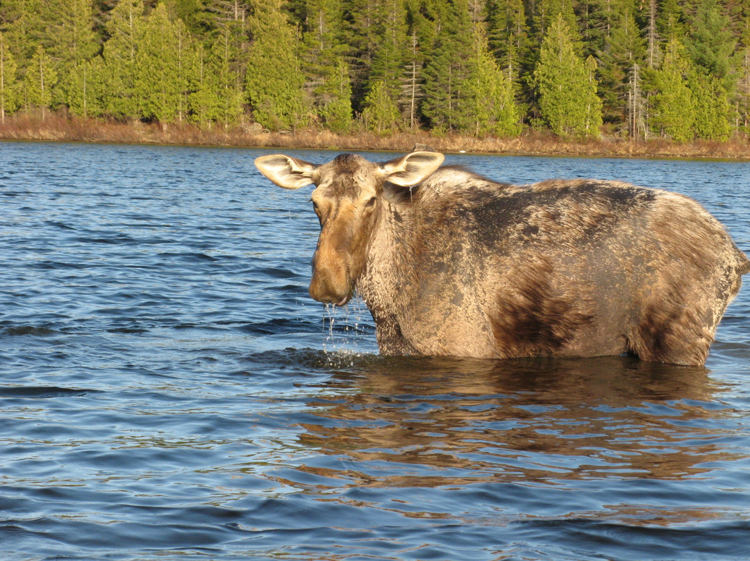 Northwoods Outfitters-Greenville必去景点