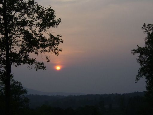 Young Harris旅游攻略图片