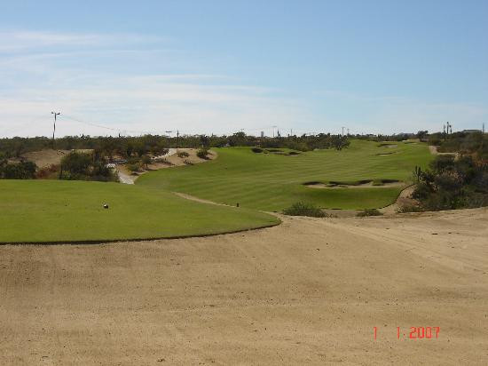 Desert Course at Cabo del Sol-洛斯卡布斯必去景点