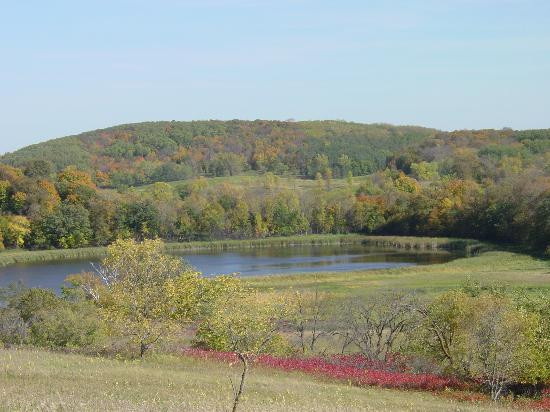 Maple Wood Park景点图片