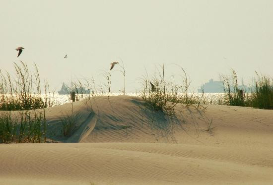 Huguenot Memorial Park-杰克逊维尔必去景点
