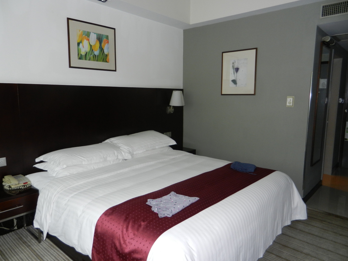 上海古井假日酒店-客卧