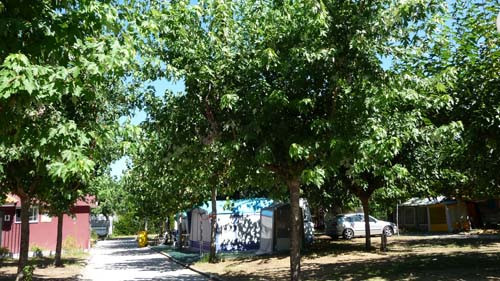 Camping El Terron
