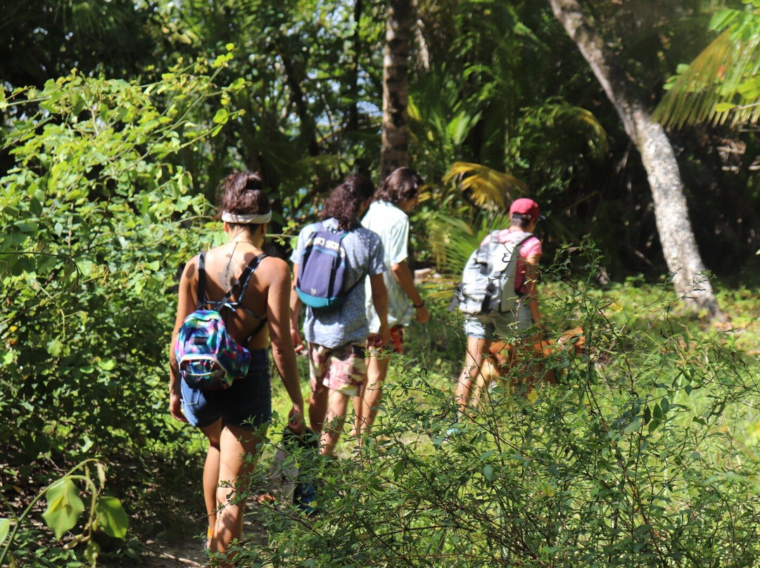 Jungle Walks Bocas Del Toro景点图片