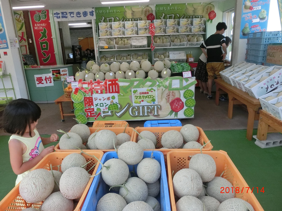 Nikken Farm-田原市必去景点