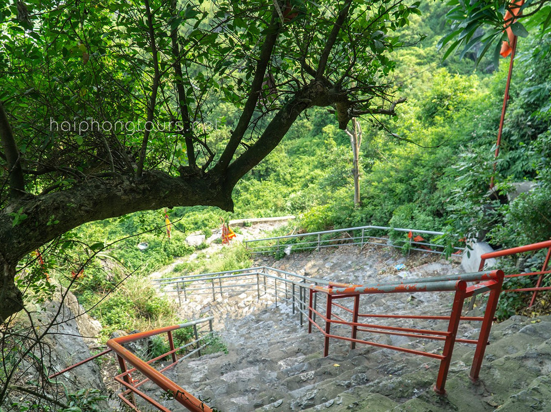 Elephant Mountain景点图片