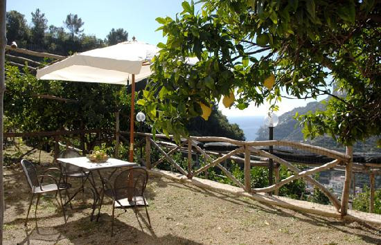 Agriturismo Il Campanile
