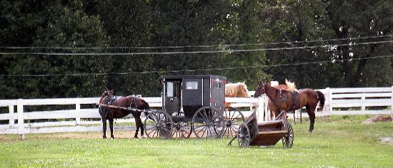 Gasthof Village Inn主图