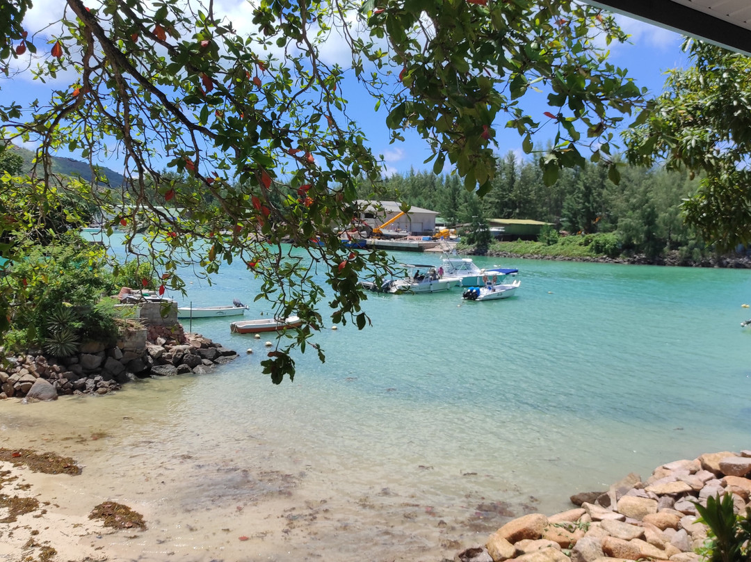 Le Port Guest House主图