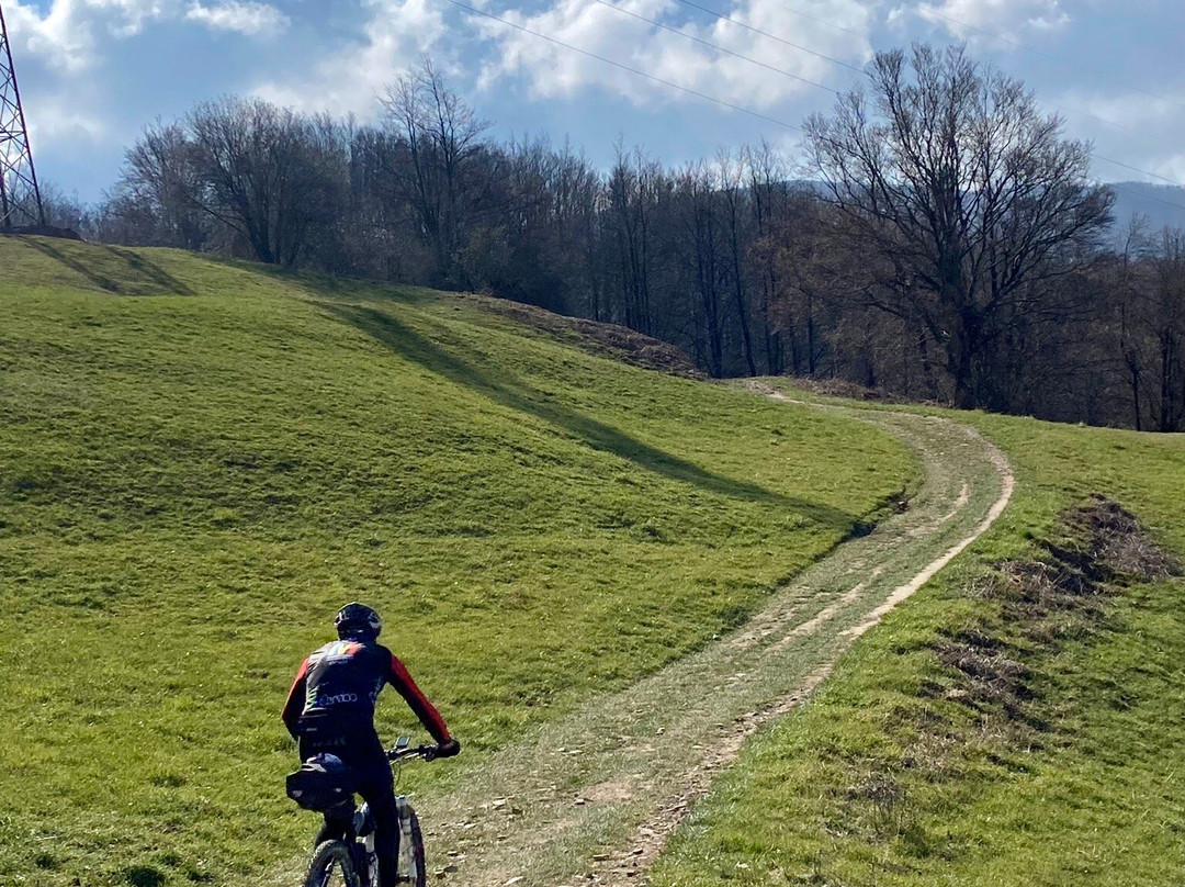 Jesi Bike Tours-杰西必去景点