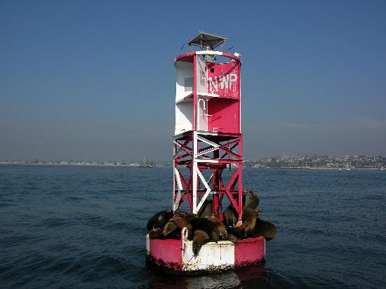 巴博亚岛-纽波特海滩必去景点