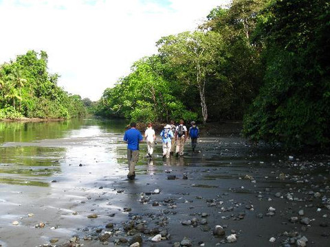 Corcovado National Park-Carate必去景点