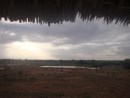 Tsavo Travel & Safaris景点图片