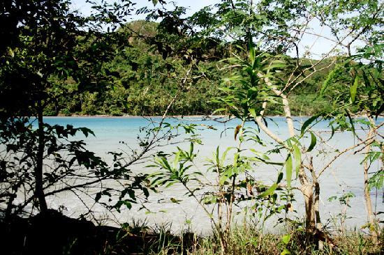 Snake Island-爱妮岛必去景点