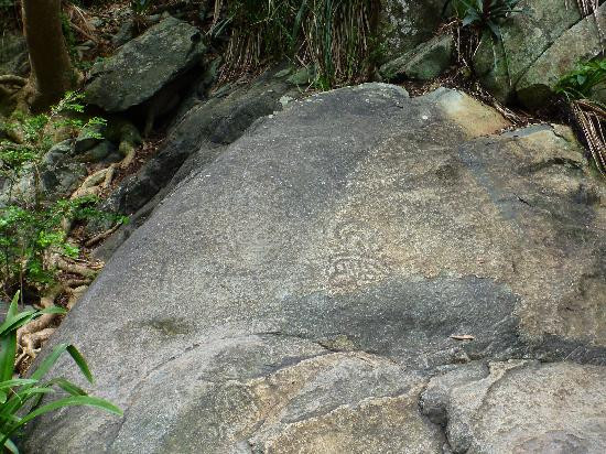 Reef Bay Trail-维尔京群岛国家公园必去景点