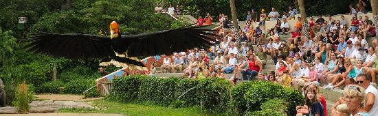 Cincinnati Zoo & Botanical Garden-辛辛那提必去景点
