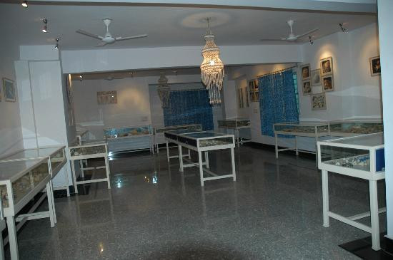Alice Garg National Seashells Museum-斋蒲尔必去景点