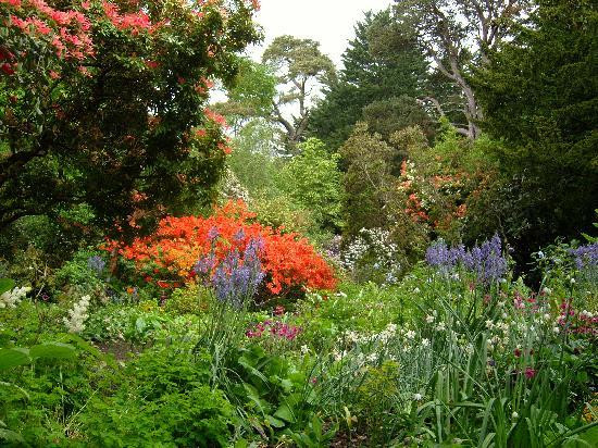 Howick Hall Gardens & Arboretum景点图片