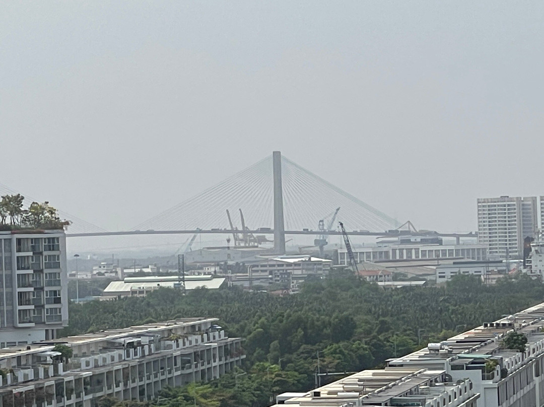 Phú Mỹ Bridge-胡志明市必去景点