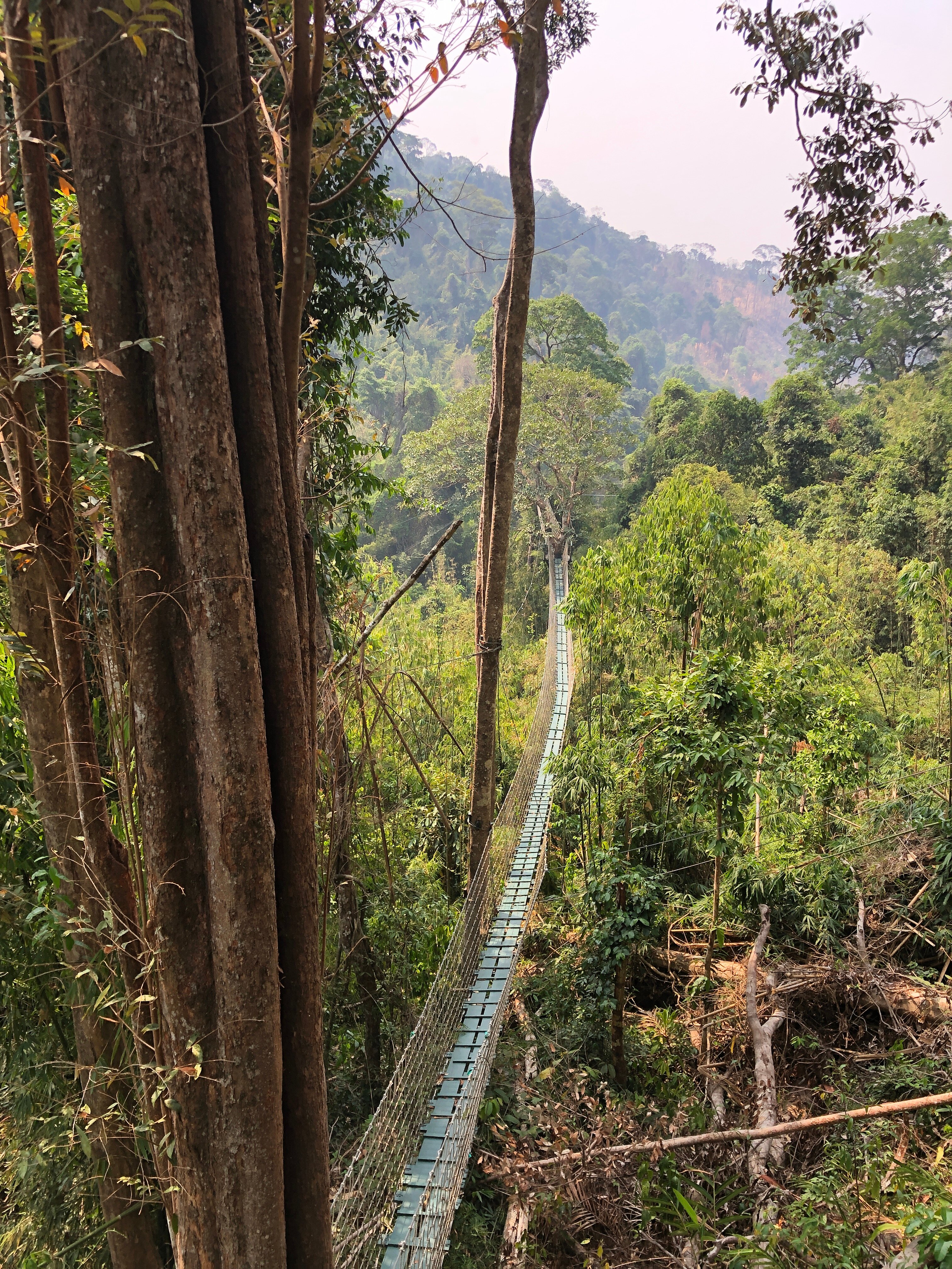 Nam Pien Yorla Pa-官方