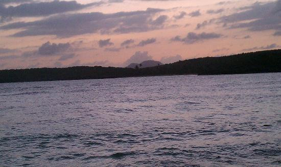 Abe's Snorkeling and BioBay Tours景点图片