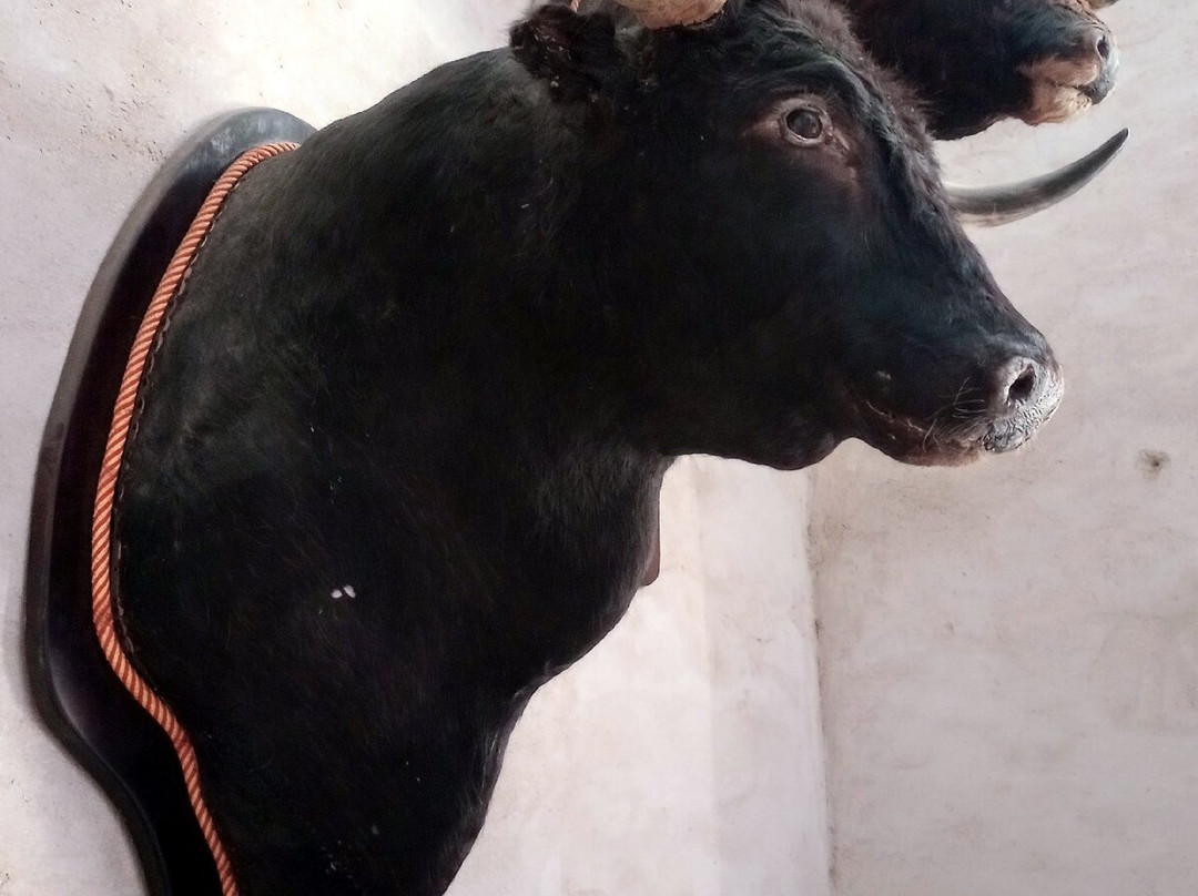 Plaza de Toros de Almendralejo景点图片