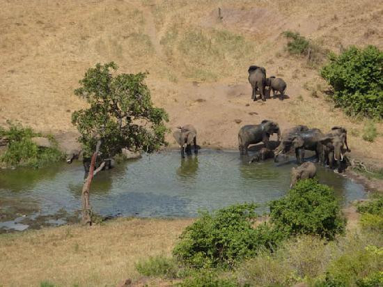 Eyes On Africa Safaris-马赛马拉国家野生动物保护区必去景点