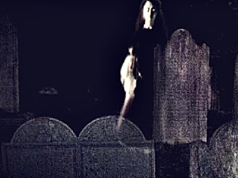 Southern Fried Tour Guide-查尔斯顿必去景点