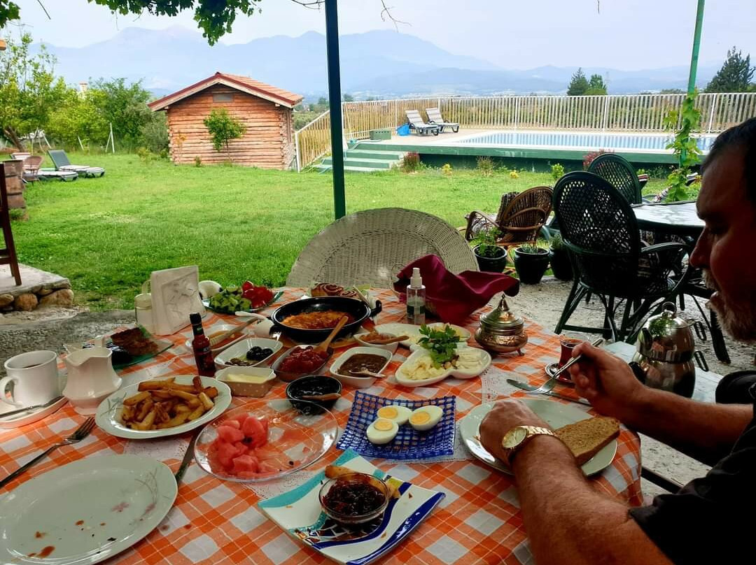 Yesil Kelebek Ev主图