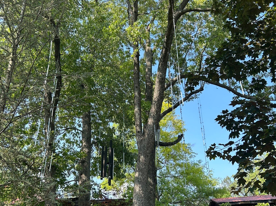 Patti's 1880's Settlement-Grand Rivers必去景点