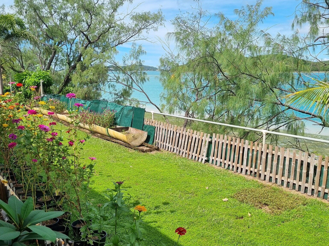 Kazu Pearls-Thursday Island必去景点