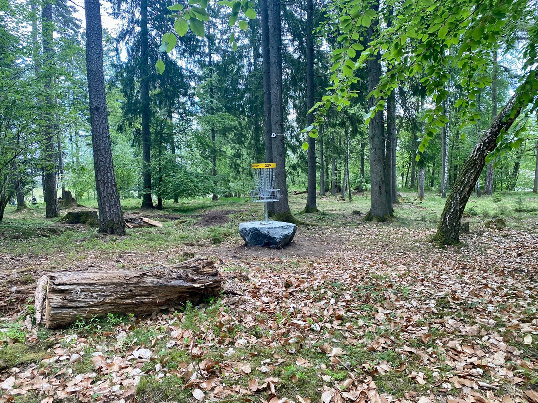 Tomb Diskgolfpark景点图片
