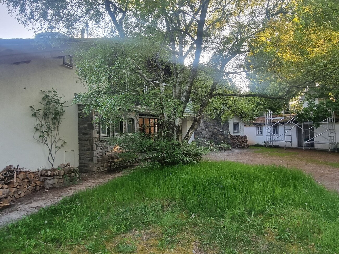 Tanglewood House主图